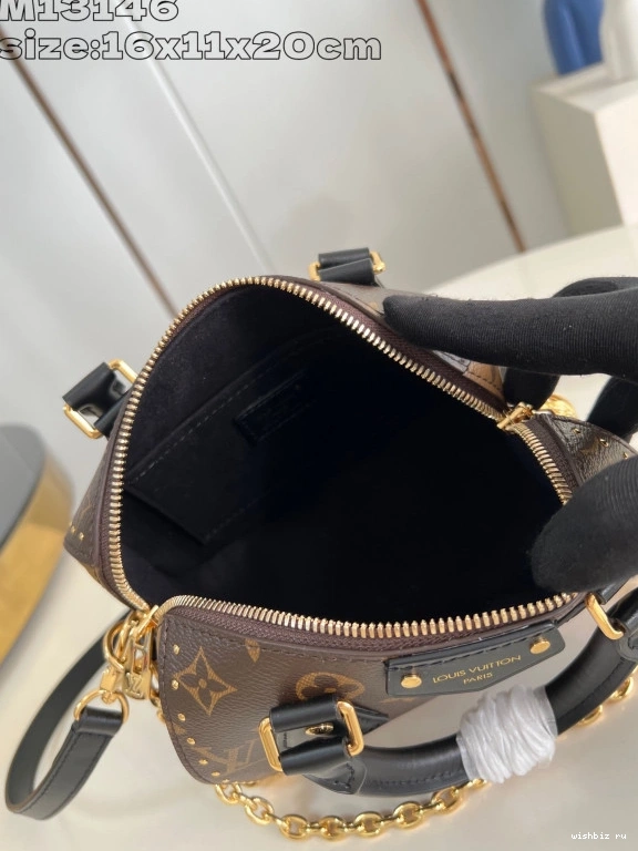 WIS 20 Speedy Louis Trunk Vuitton 0710